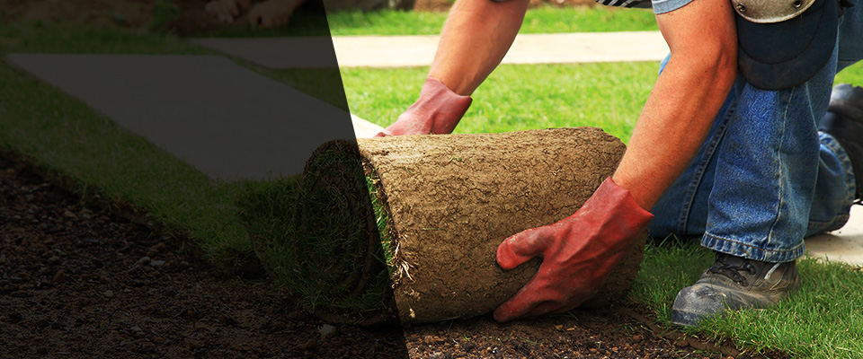De Forest Landscapers